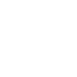 TikTok Icon